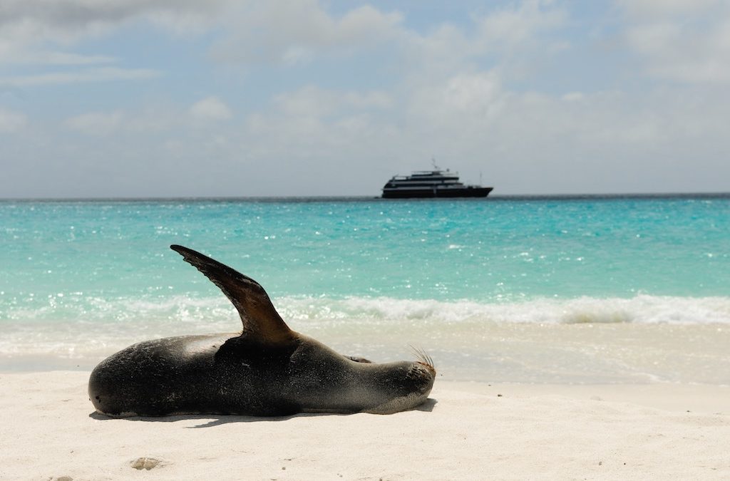Quick Guide to the Galapagos Islands